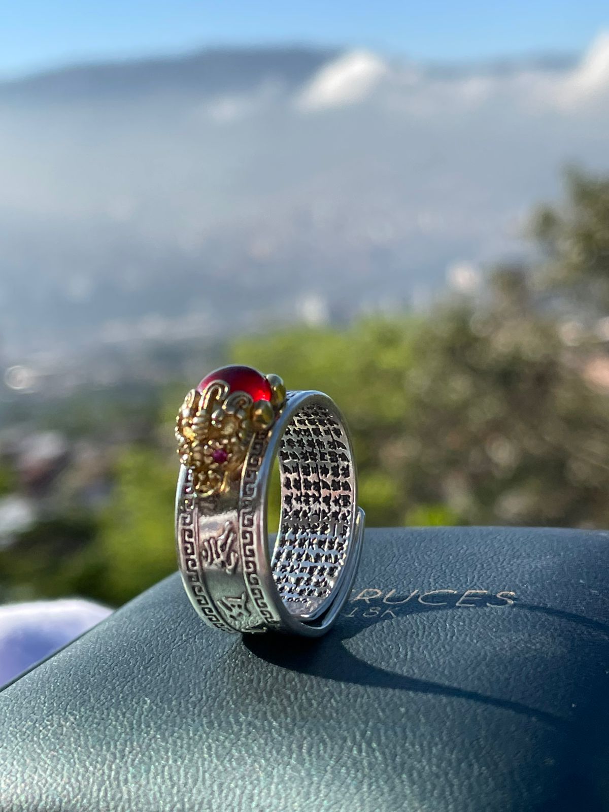 ANILLO BUDA - 02