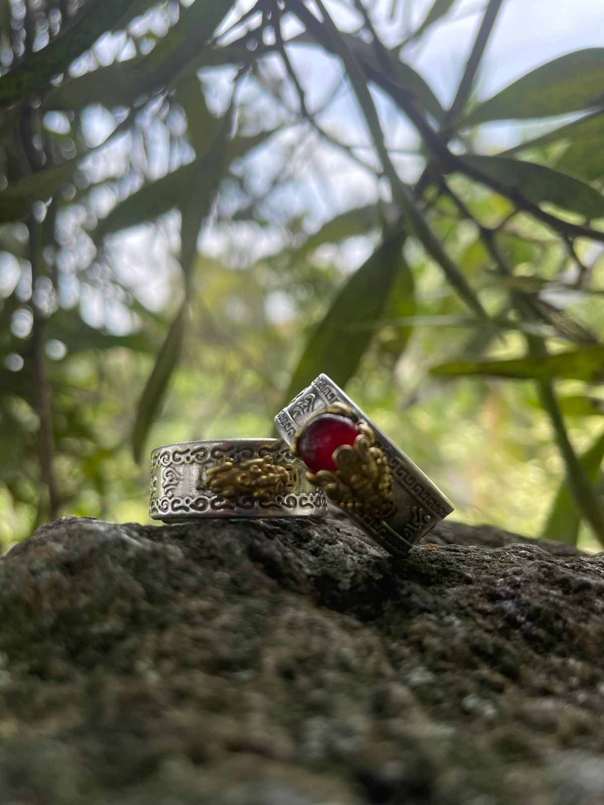 ANILLO BUDA - 02