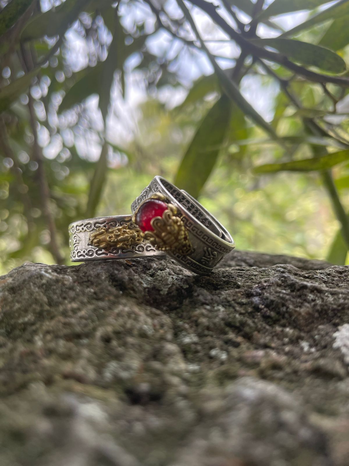ANILLO PIXIU - 01