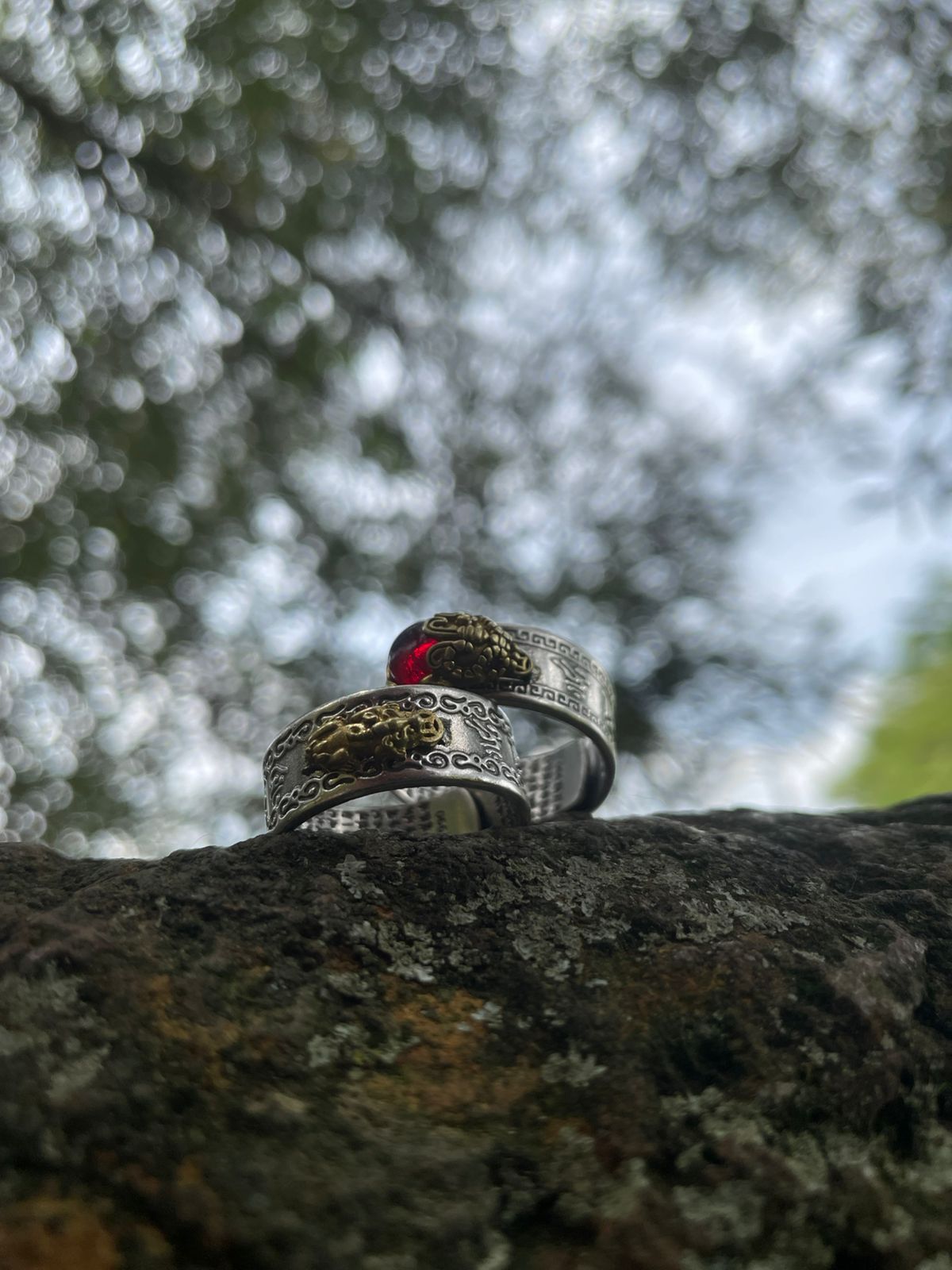 ANILLO PIXIU - 01